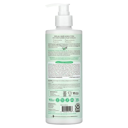 Babo Botanicals Eucalyptus Remedy Shampoo & Wash, 16 fl oz (473 ml)