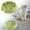 Green-2PCS, variant on Small Slow Feeder Cat Dog Bowls, Puzzle Dog Bowl with Anti-, Pet Food Bowls for Fast Eaters,Interactive Dog Feeding Dishes to Slow Down Eating, Bloat Stop Bowls for Small Medium Dogs and Cats