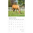 thumbnail image 3 of Magnificent Horses | 2026 12x24" (Hanging) Monthly Square Wall Calendar | Plato, 3 of 9