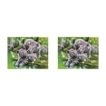 thumbnail image 2 of Toystoory DIY 5D diamante pintura bordado Animal patrón punto de cruz imagen Kit dibujos animados Animal cristal diamante pintura decoración 2 # 2piezas, 2 of 6