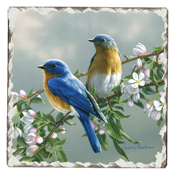 Absorbent Stone Tumbled Tile Coasters, Bluebirds #1, Set of 4