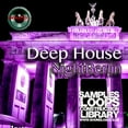 thumbnail image 5 of DEEP HOUSE MEGA Bundle Part 2 - 10 Large Essential WAVE Samples/Loop Studio Libraries. Download only!, 5 of 13