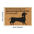 thumbnail image 3 of Coir Mat Door Mat Outdoor Mat for Entryway Outside Yard Home Decoration Door Mat - Novelty Designs Welcome Doormats Dachshund Coco Coir Outdoor Mat Natural Coir Doormat with Non-Slip Backing Sale, 3 of 5