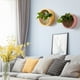 thumbnail image 4 of Gwong Decoración hogareña Plantador suculento Durable Durable Decorativo Fugas Hidratantes Pote de Estilo Hidropónico Para Balcón Gwong 21060821, 4 of 6