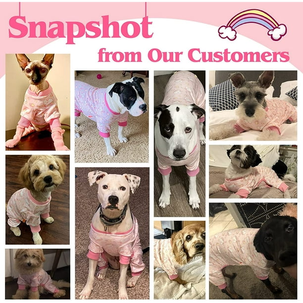 Dog pj set sale