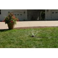 thumbnail image 2 of Dramm 10-15054 Green ColorStorm 3 Arm Whirling Sprinkler, 2 of 3