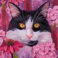 thumbnail image 2 of Cuadros Decorativos Flower Cat 5D DIY Diamond Drawing Kits Full Round Drill Wall Art Decor (sz2930) Ndcxsfigh Nuevos Originales, 2 of 8