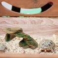 thumbnail image 4 of Cachette en Résine pour Tortue, Décor de Roche pour Reptile, Cachette en Résine pour Reptile, 4 of 8
