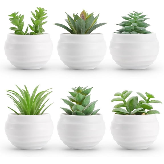 Der Rose 4.75" Artificial Succulents Plant in Pot (6 Count)
