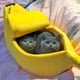 thumbnail image 5 of Bonita cama para gatos con forma de plátano, tamaño extragrande, suave y navideña, suministros encantadores para mascotas, gatos, gatitos, conejos, perros pequeños, color amarillo, 5 of 6