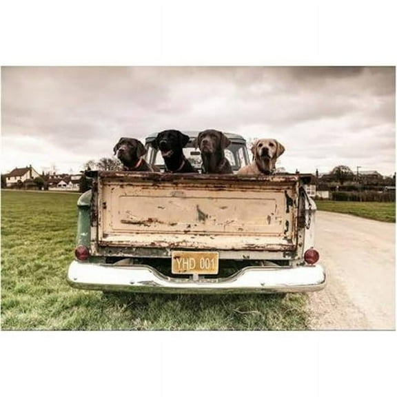 Yosemite Home Decor 'Old Friends' Glass Photographic Print in Multi-Color