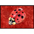 thumbnail image 1 of Carolines Treasures 8870MAT Lady Bug sur Tapis Intérieur Ou Extérieur Rouge Profond - 18 x 27 Po., 1 of 4