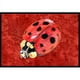 Carolines Treasures 8870MAT Lady Bug sur un Paillasson Rouge Profond Intérieur Ou Extérieur - 18 x 27 Po. – image 1 sur 4