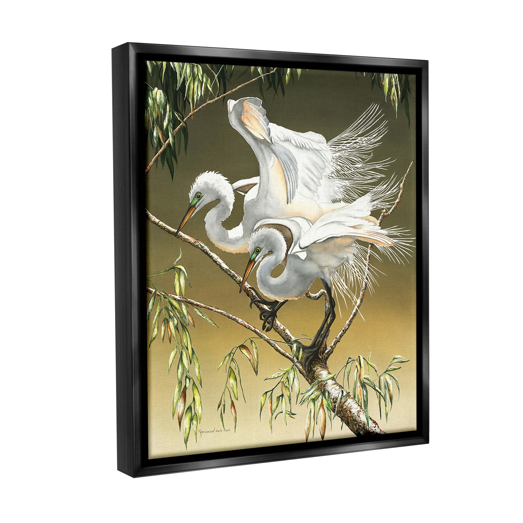 Stupell Industries Egrets Perched on Branch Animals & Insects Painting Black Floater Framed Canvas Art Print Wall Art, 25 x 31