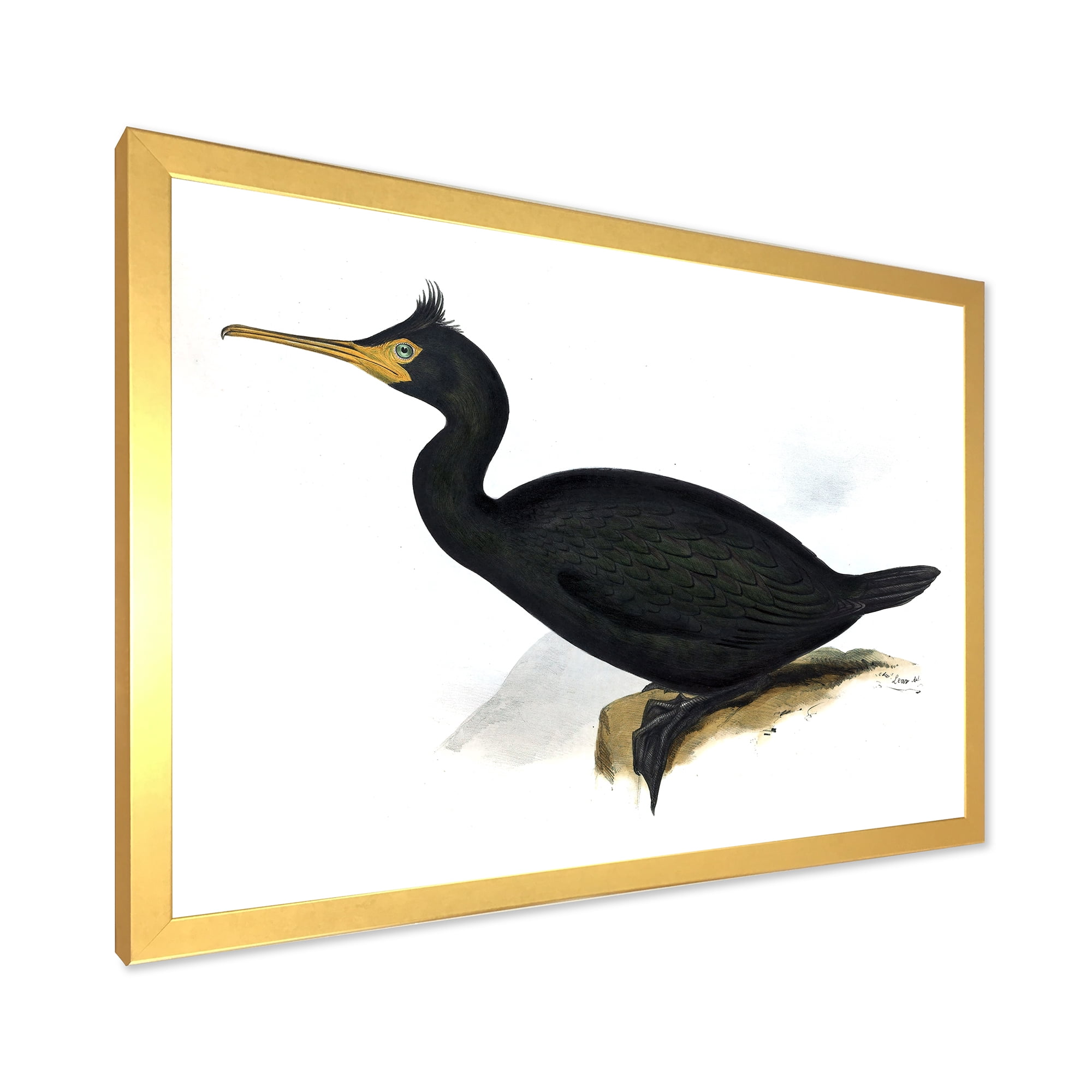 Designart 'Ancient Bird Life IV' Traditional Framed Art Print