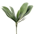 thumbnail image 6 of Yesbay Simulation Leaves Non-Wilting Fake Phalaenopsis Orchid Leaves, 6 of 8
