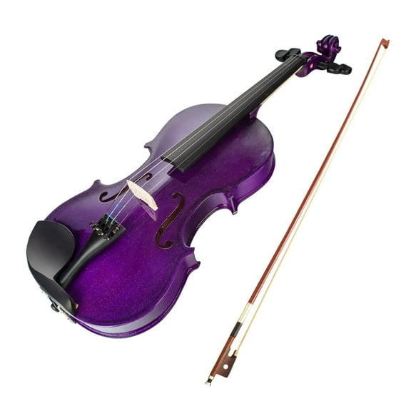 4/4 Violin Spruce Wood Top Panel Basswood Back Side Panel with Gig Bag Brazilwood Bow for Beginner String Instrument