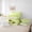 Green, variant on jejeloiu Cute Cartoon Avocado 7-Piece Twin Bedding Sets,Pink Bowknot Flower Bedding Comforter Set For Girls Kids Reversible