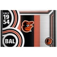 thumbnail image 2 of Baltimore Orioles 24oz. Cool Vibes Jr. Thirst Hydration Water Bottle, 2 of 2