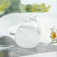 thumbnail image 3 of Bird Storm Glass Weather Forecast, Creative Stylish Weather Station Forecaster Storm Glass Bottles Barometer, Desktop Decoration Crafts Look Up, 3 of 4