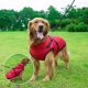 thumbnail image 2 of Abrigo de invierno para perros, impermeable, cálido, con cordón en la cintura, ropa para mascotas, chaqueta, chaleco para perros, chaleco reflectante, chaqueta de plumón (rojo, XL) Kuyhfg Bienvenido a Kuyhfg, 2 of 3