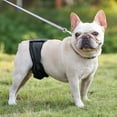 thumbnail image 4 of Couches Lavables pour Chiens Mâles Réutilisables Bande de Ventre Respirante pour Chiens Mâles, 4 of 8