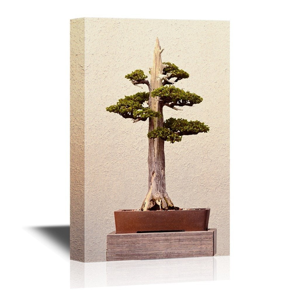 wall26 Bonsai Canvas Wall Art Bonsai Plant with Broken Branch