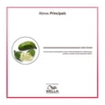 thumbnail image 4 of Acondicionador Wella Professionals Lime Caviar 1 Litro, 4 of 6