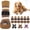 Brown, variant on Socks for Hot Pavement, Non Slip Shoes to Licking Paws, Booties with Grippers for Hardwood Floors, Puppy Boots & Paw Protectors for Small Medium Large Senior Dogs,M