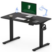 FLEXISPOT 40x24 Home Office Height Adjustable Standing Desk with Hooks, Ergonomic Electric 2-Stage Stand Up Computer Desk, Black