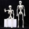 thumbnail image 5 of Halloween Movable Articulated Skeletons To A Atmosphere To Your Holiday, 5 of 5