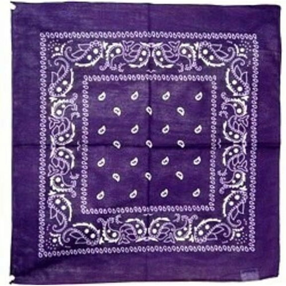 22"x22" Paisley Violet Purple Bandana