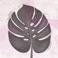 thumbnail image 3 of Aesthete 12x12 Black Modern Framed Museum Art Print Titled - Tropical Leaf One, 3 of 5
