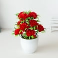 thumbnail image 5 of 12 Headed Chrysanthemum Potted Green Floral Arrangement Desktop For Home Centerpiece Wedding Details Fall Flowers Outdoor Flower Arrangements in Vase Wall Flowers Bouquet Holder for Flowers Winter, 5 of 5