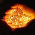 thumbnail image 4 of Cadena de luces alimentadas por batería (paquete de 8) 2M 20 luces LED de cadena Alambre de cobre resistente al agua, (blanco cálido, viene con 6 baterías de repuesto) oso de fresa Hogar, 4 of 5