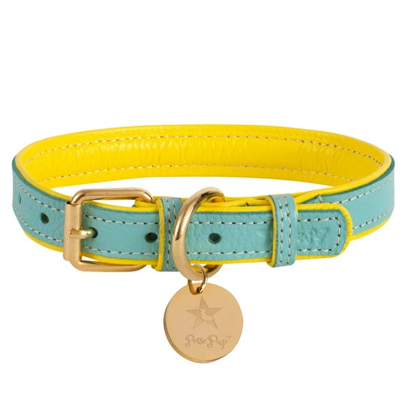 PoisePup Pet Dog Collar - Sunshine Babe