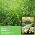 thumbnail image 5 of 5 packs Lemongrass Seeds - Non-GMO Heirloom Full Sun Perennial Herb, 5 of 8