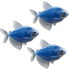 GloFish® White Skirt Tetra Add-On 3ct Live Assortments