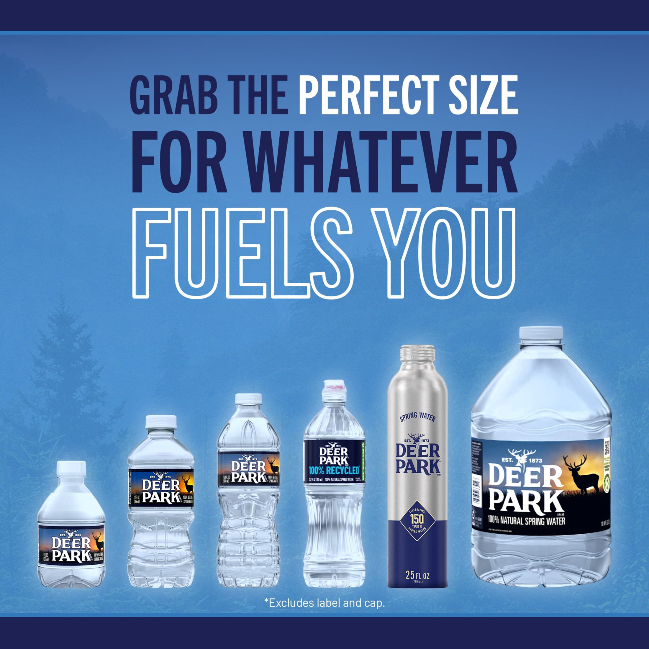 Deer Park Spring Water, 12 fl oz, 12-pack Plastic Bottles