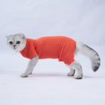 thumbnail image 2 of Traje de recuperación para gatos, camisa para perros y gatos después de una cirugía, ropa protectora para evitar que se laman, para cachorros, gatos, machos y hembras, 2 of 5