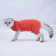 thumbnail image 2 of Traje de recuperación para gatos, camisa para perros y gatos después de una cirugía, ropa protectora para evitar que se laman, para cachorros, gatos, machos y hembras, 2 of 5