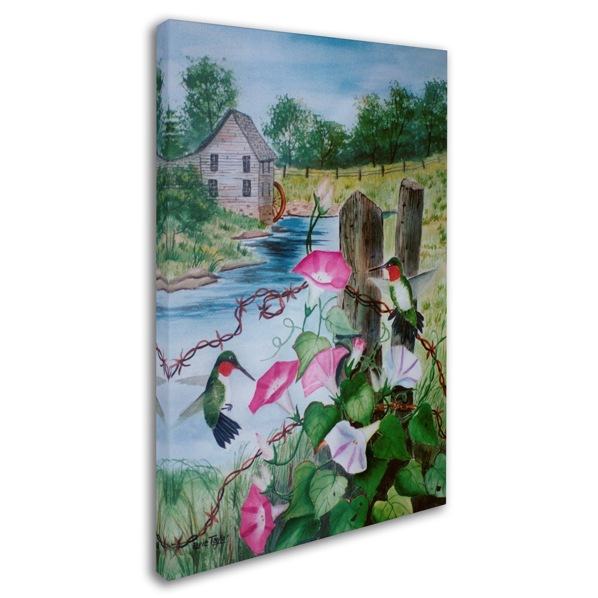Trademark Fine Art 'Hummingbirds' Canvas Art by Arie Reinhardt Taylor