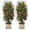 2 pc, variant on Blueberry Bush Netting Insects Proof Cover, Garden Plant Protection Mesh for Fruit Trees, Outdoor Shrub Cover 31.5 x 47.24 in, 1 Pack