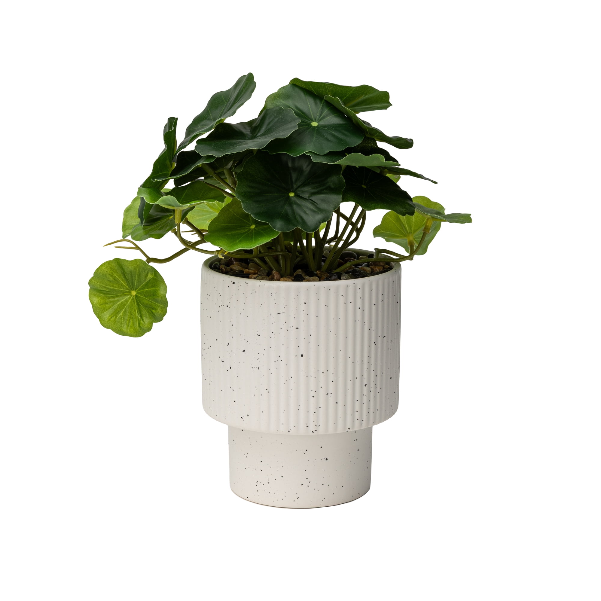 Mainstays Artificial Money Plant in Ribbed Speckled Ceramic Pot, 9.5"