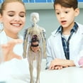thumbnail image 2 of Learning Educational Toys Human Skeleton Models 29 Pas 3D Anatomy Models Kit Suitable For Kids 6+, 2 of 8