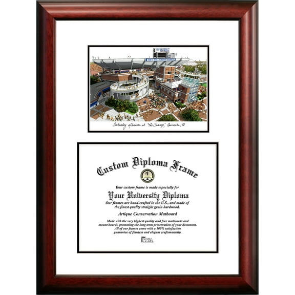 Campus Images FL994V-16115 16 x 11.5 in. University of Florida the Swamp Scholar Diploma Frame - Satin Mahogany