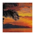 thumbnail image 4 of Acheng Sunset Palm Tree Mountains Square Tablecloth Washable for Home Kitchen Outdoor Decoration 100% Polyester Fiber 52*52, 4 of 8