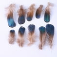 thumbnail image 4 of YIEMEEN 50 Pcs/Pack Soft Natural Feathers DIY for Creative Handmade Painting Crafts Supplies Wedding Party Home Decoration Ornam, 4 of 9