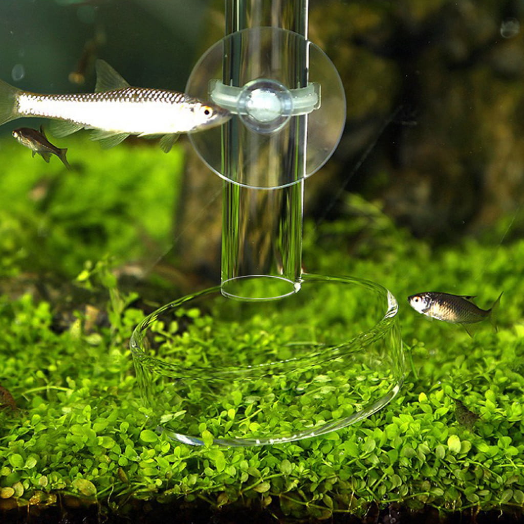New Arrival Fish Tank Feeder 6 Size Aquarium Shrimp Glass Feeding Bowl Dish Tray 