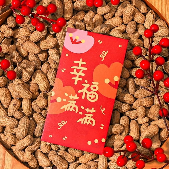 Namzi Red Envelopes Chinese New Year, 12pcs Money Envelopes for Cash Christmas Lucky Money Pocket-C06